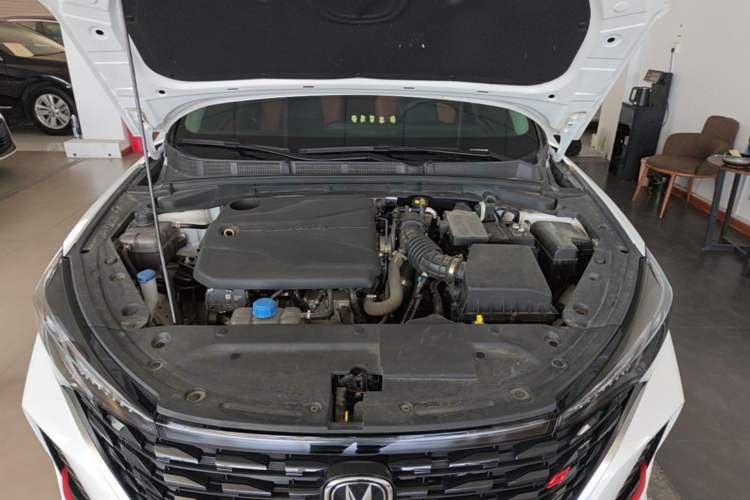 Used CHANGAN Eado 2024 PLUS Blue Whale NE 1.4T GDI DCT High-Energy Edition Engine Bay