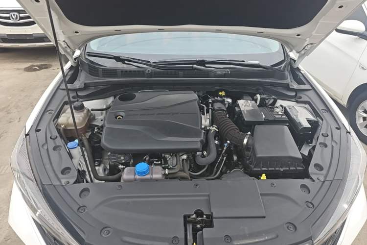 Used CHANGAN Eado 2024 PLUS Blue Whale NE 1.4T GDI DCT High-Energy Edition Engine Bay