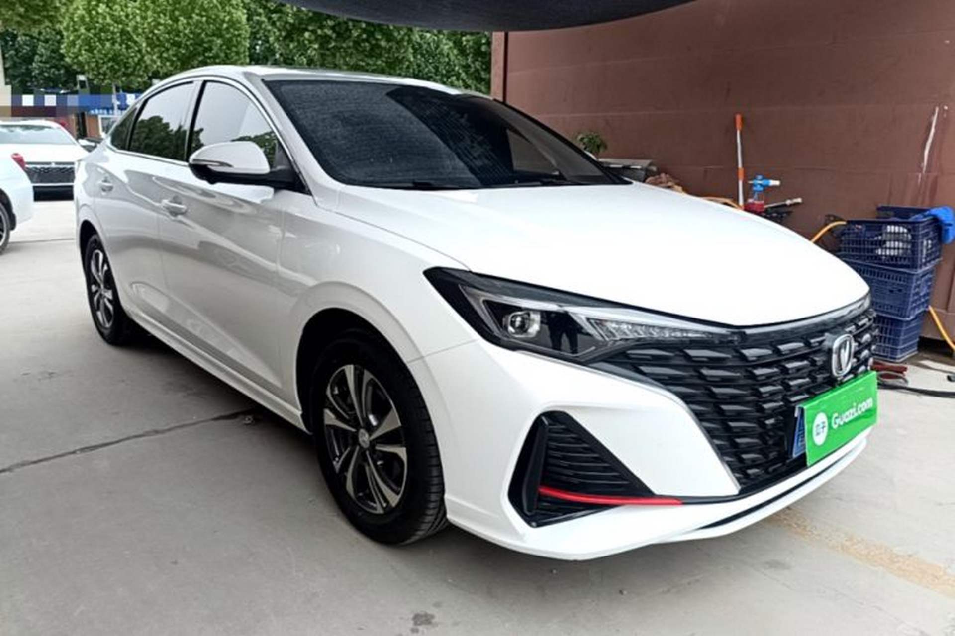 Used CHANGAN Eado 2024 PLUS Blue Whale NE 1.4T GDI DCT High-Energy Edition Exterior 1