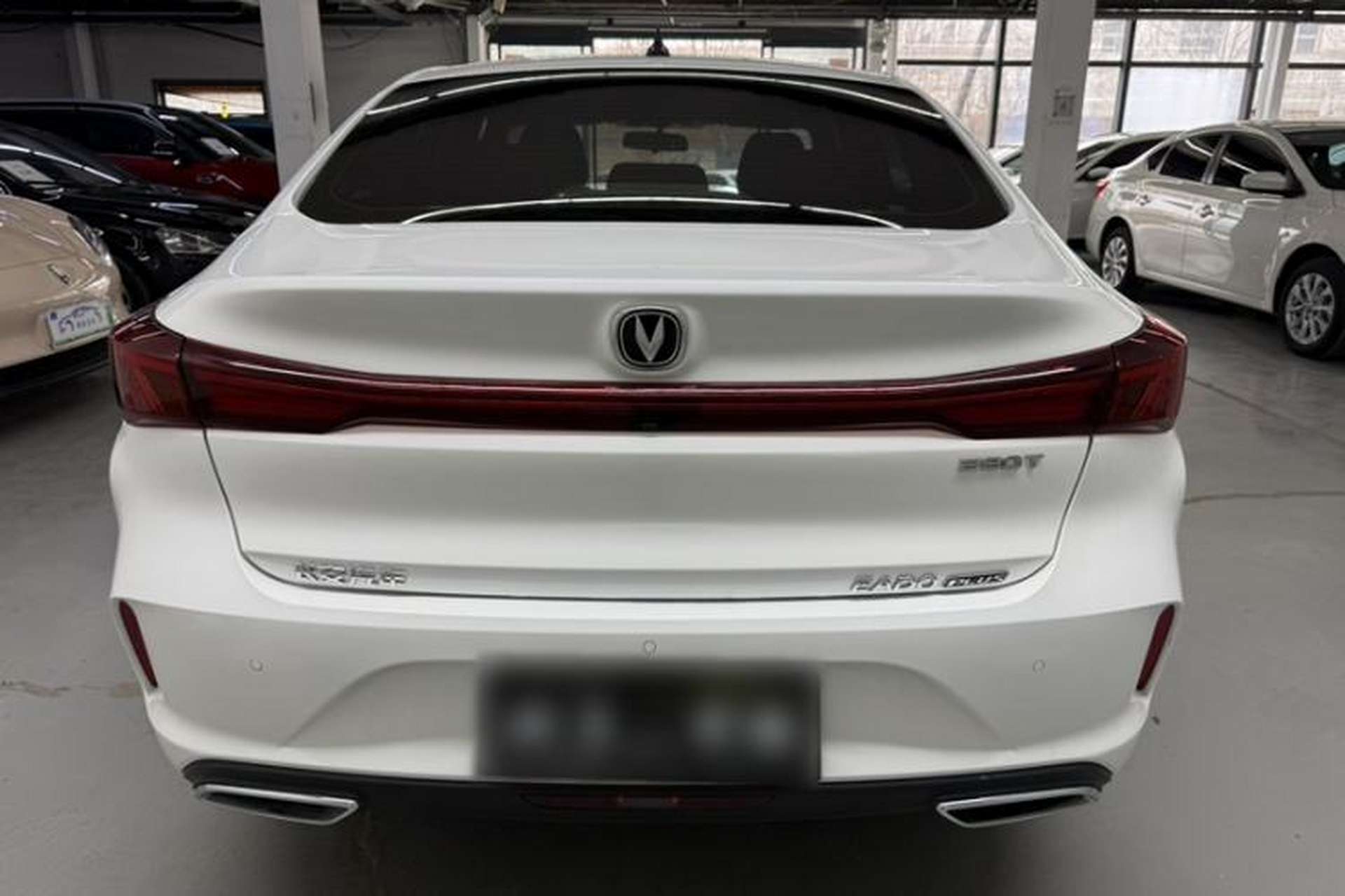 Used CHANGAN Eado 2024 PLUS Blue Whale NE 1.4T GDI DCT High-Energy Edition Exterior 3