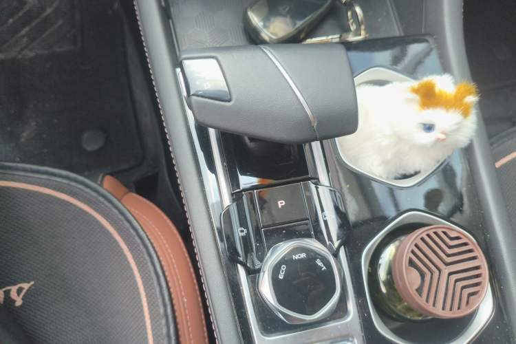 Used CHANGAN Eado 2024 PLUS Blue Whale NE 1.4T GDI DCT High-Energy Edition Gear Lever
