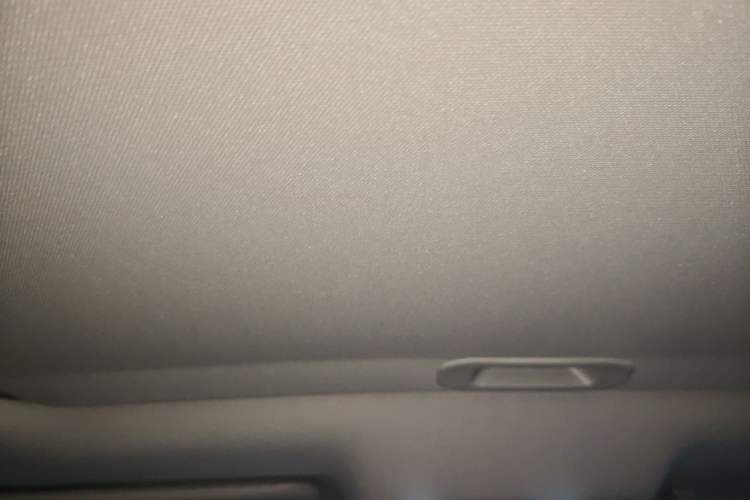 Used CHANGAN Eado 2024 PLUS Blue Whale NE 1.4T GDI DCT High-Energy Edition Headliner