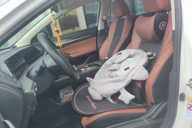 Used CHANGAN Eado 2024 PLUS Blue Whale NE 1.4T GDI DCT High-Energy Edition Left Front Seat