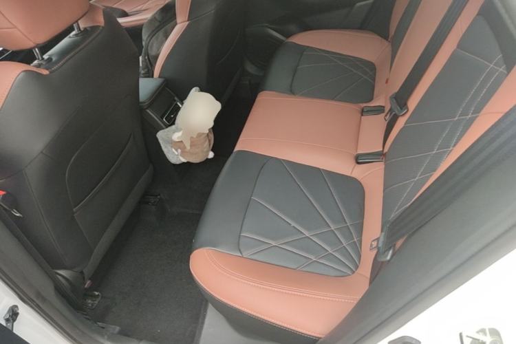 Used CHANGAN Eado 2024 PLUS Blue Whale NE 1.4T GDI DCT High-Energy Edition Left Rear Seat
