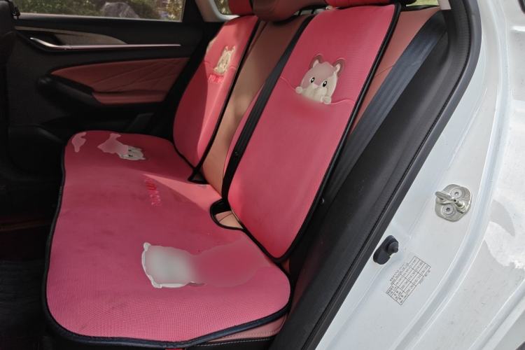Used CHANGAN Eado 2024 PLUS Blue Whale NE 1.4T GDI DCT High-Energy Edition Left Rear Seat