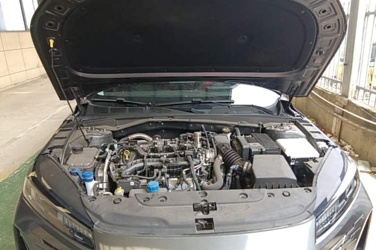 Used CHANGAN Eado 2025 Blue Whale 1.5T 500Bar Prestige Model Engine Bay