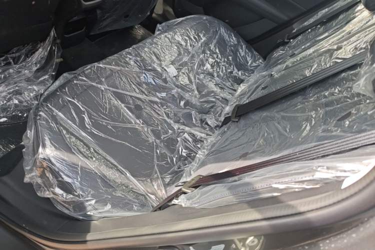 Used CHANGAN Eado 2025 Blue Whale 1.5T 500Bar Prestige Model Left Rear Seat