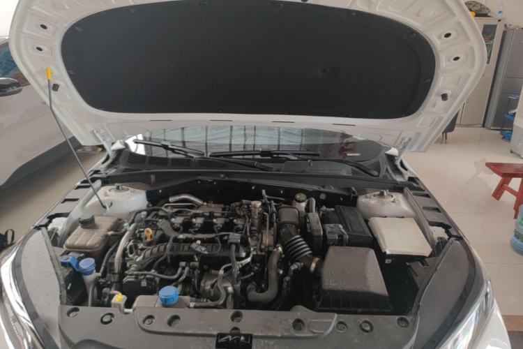 Used CHANGAN Eado 2025 Blue Whale 1.5T 500Bar Prestige Model Engine Bay