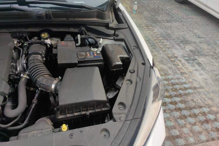 Used CHANGAN Eado 2025 PLUS 1.4T Dual-Clutch High-Energy Version Engine Bay Left