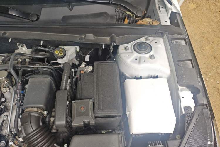 Used CHANGAN Eado 2025 Blue Whale 1.5T 500Bar Prestige Model Engine Bay Left