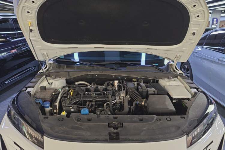 Used CHANGAN Eado 2025 Blue Whale 1.5T 500Bar Prestige Model Engine Bay