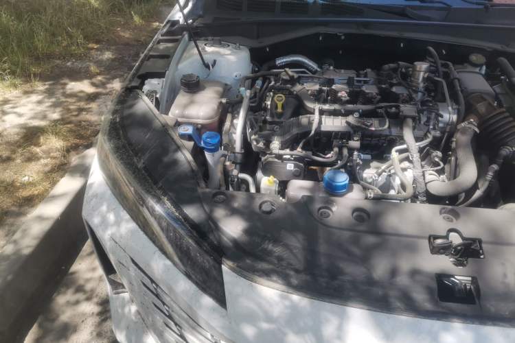 Used CHANGAN Eado 2025 Blue Whale 1.5T 500Bar Prestige Model Engine Bay Right