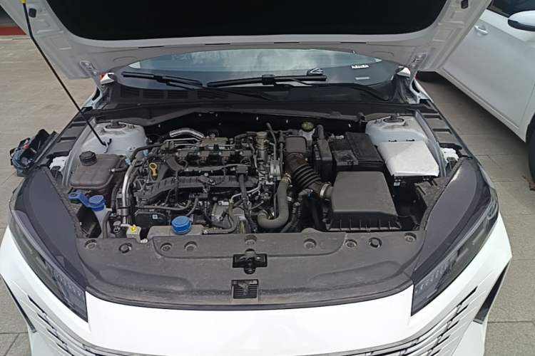 Used CHANGAN Eado 2025 Blue Whale 1.5T 500Bar Prestige Model Engine Bay
