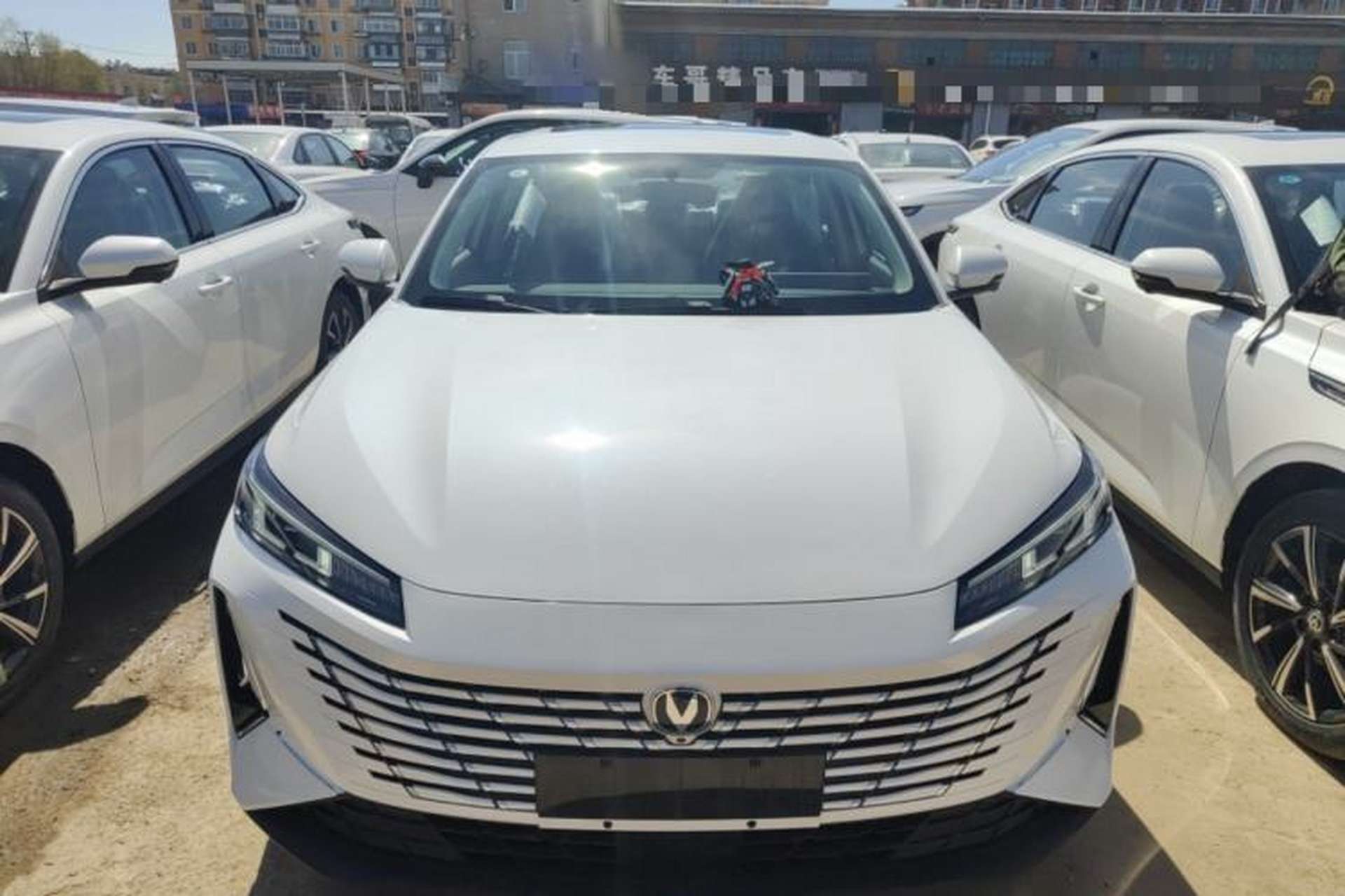 Used CHANGAN Eado 2025 Blue Whale 1.5T 500Bar Prestige Model Front