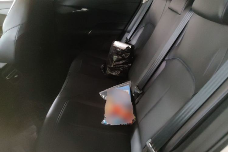 Used CHANGAN Eado 2025 Blue Whale 1.5T 500Bar Prestige Model Left Rear Seat