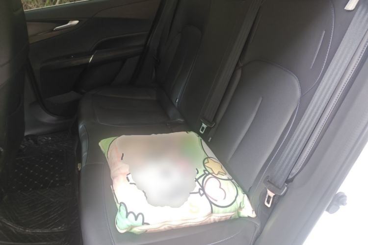Used CHANGAN Eado 2025 Blue Whale 1.5T 500Bar Prestige Model Left Rear Seat
