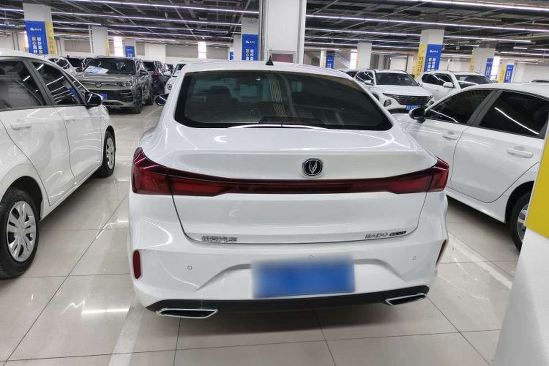 Used CHANGAN Eado 2025 PLUS 1.4T Dual-Clutch High-Energy Version Rear