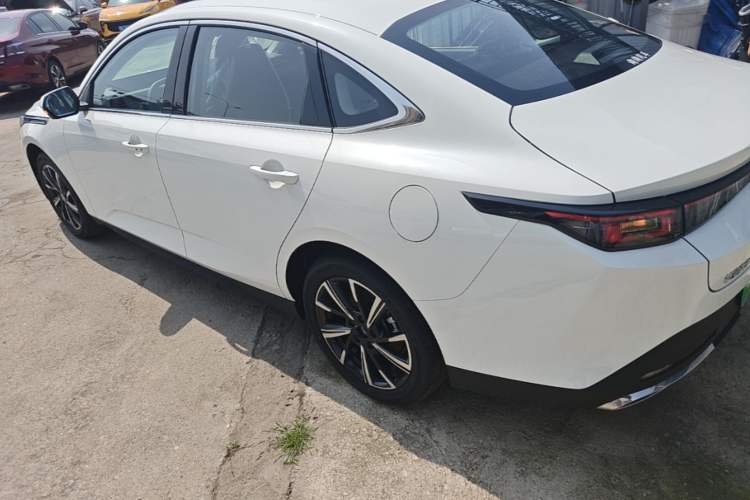 Used CHANGAN Eado 2025 Blue Whale 1.5T 500Bar Prestige Model Rear Left 45 Deg
