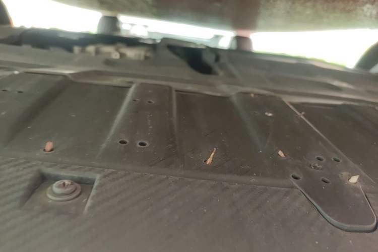 Used CHANGAN Eado DD 2023 Blue Whale NE 1.5T GDI DCT Navigation Model Chassis Front
