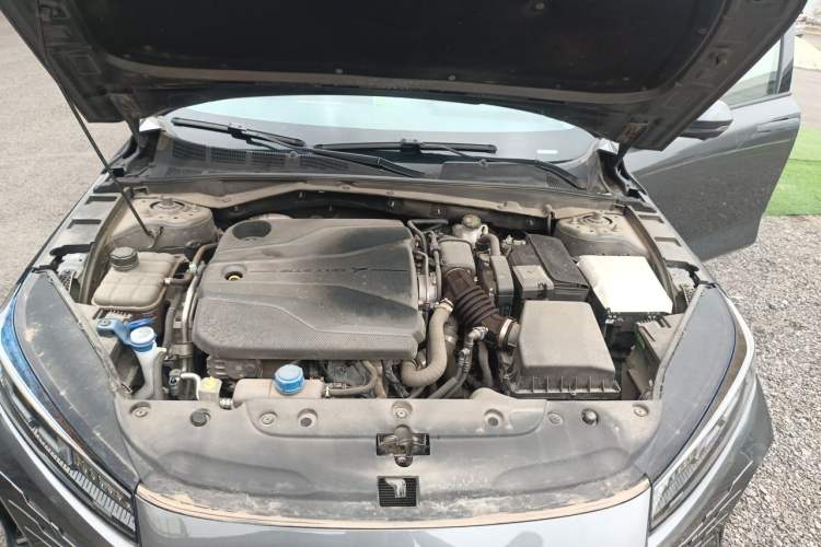 Used CHANGAN Eado DD 2023 Blue Whale NE 1.5T GDI DCT Navigation Model Engine Bay