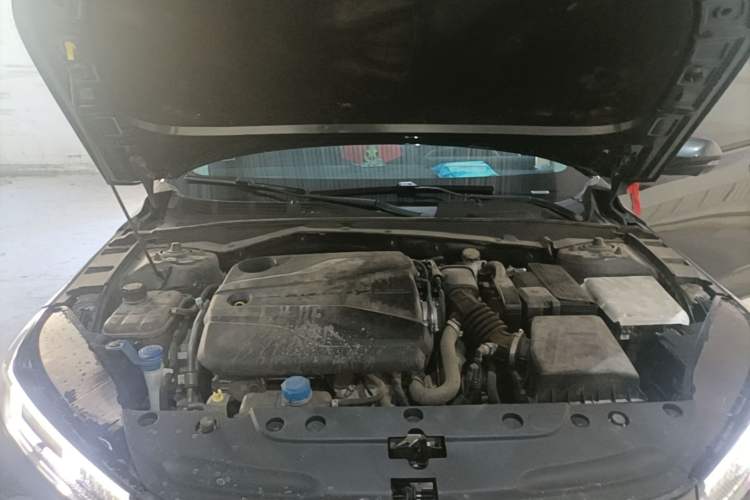 Used CHANGAN Eado DD 2023 Blue Whale NE 1.5T GDI DCT Luxury Edition Engine Bay