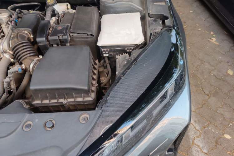 Used CHANGAN Eado DD 2023 Blue Whale NE 1.5T GDI DCT Enjoy Edition Engine Bay Left