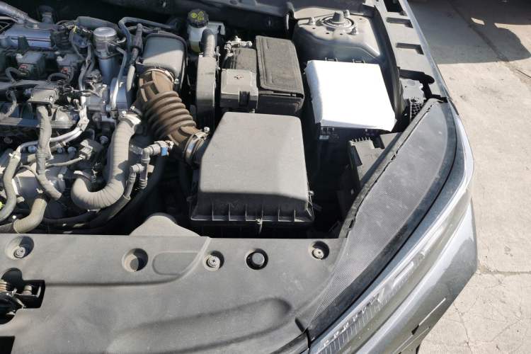 Used CHANGAN Eado DD 2023 Blue Whale NE 1.5T GDI DCT Enjoy Edition Engine Bay Left