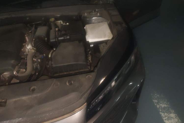 Used CHANGAN Eado DD 2023 Blue Whale NE 1.5T GDI DCT Navigation Model Engine Bay Left