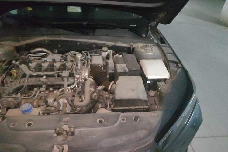 Used CHANGAN Eado DD 2023 Blue Whale NE 1.5T GDI DCT Enjoy Edition Engine Bay Left