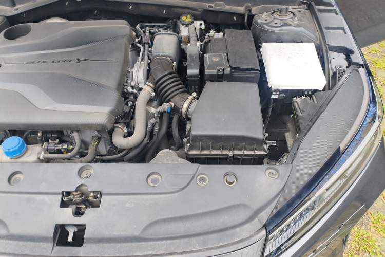 Used CHANGAN Eado DD 2023 Blue Whale NE 1.5T GDI DCT Luxury Edition Engine Bay Left