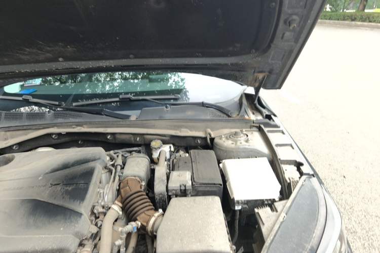 Used CHANGAN Eado DD 2023 Blue Whale NE 1.5T GDI DCT Luxury Edition Engine Bay Left