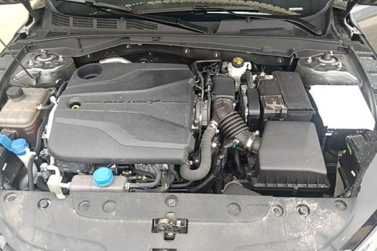 Used CHANGAN Eado DD 2023 Blue Whale NE 1.5T GDI DCT Navigation Model Engine Bay
