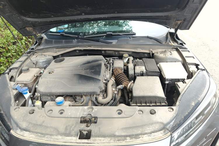 Used CHANGAN Eado DD 2023 Blue Whale NE 1.5T GDI DCT Luxury Edition Engine Bay