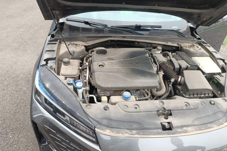 Used CHANGAN Eado DD 2023 Blue Whale NE 1.5T GDI DCT Navigation Model Engine Bay Right