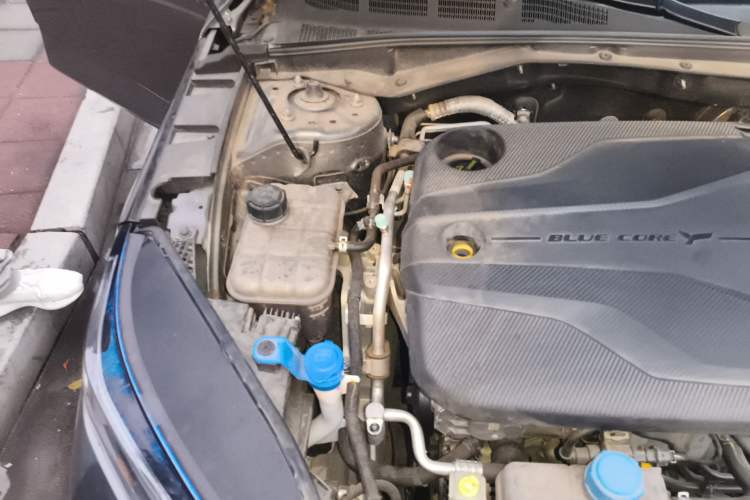 Used CHANGAN Eado DD 2023 Blue Whale NE 1.5T GDI DCT Navigation Model Engine Bay Right