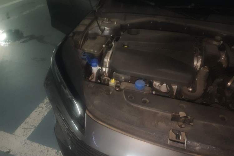 Used CHANGAN Eado DD 2023 Blue Whale NE 1.5T GDI DCT Navigation Model Engine Bay Right