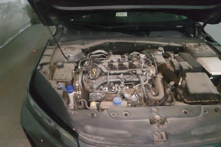 Used CHANGAN Eado DD 2023 Blue Whale NE 1.5T GDI DCT Enjoy Edition Engine Bay Right