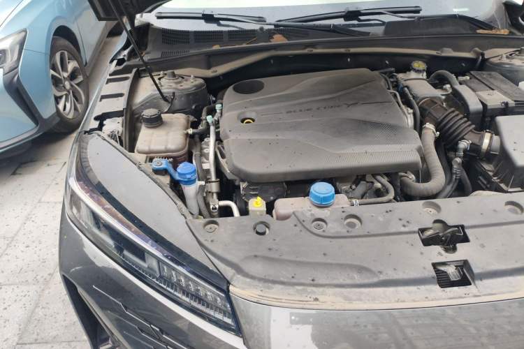Used CHANGAN Eado DD 2023 Blue Whale NE 1.5T GDI DCT Navigation Model Engine Bay Right