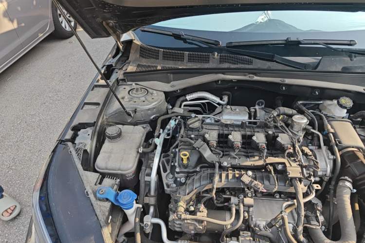 Used CHANGAN Eado DD 2023 Blue Whale NE 1.5T GDI DCT Enjoy Edition Engine Bay Right