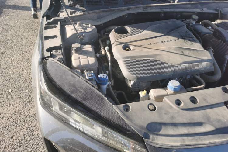 Used CHANGAN Eado DD 2023 Blue Whale NE 1.5T GDI DCT Luxury Edition Engine Bay Right