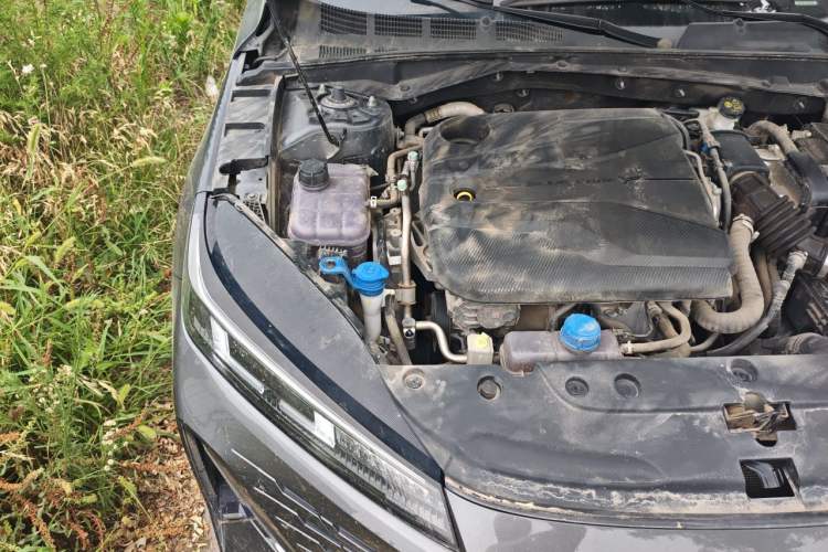 Used CHANGAN Eado DD 2023 Blue Whale NE 1.5T GDI DCT Luxury Edition Engine Bay Right