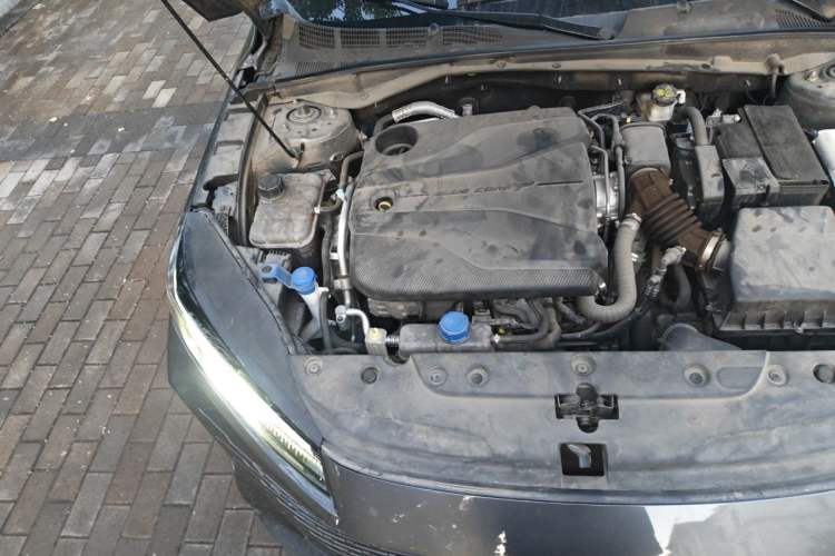 Used CHANGAN Eado DD 2023 Blue Whale NE 1.5T GDI DCT Navigation Model Engine Bay Right