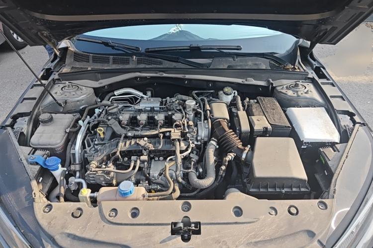 Used CHANGAN Eado DD 2023 Blue Whale NE 1.5T GDI DCT Enjoy Edition Engine Bay