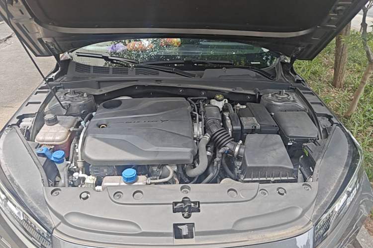 Used CHANGAN Eado DD 2023 Blue Whale NE 1.5T GDI DCT Luxury Edition Engine Bay