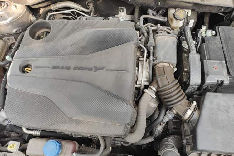 Used CHANGAN Eado DD 2023 Blue Whale NE 1.5T GDI DCT Navigation Model Engine Bay