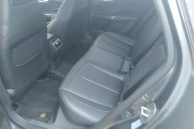 Used CHANGAN Eado DD 2023 Blue Whale NE 1.5T GDI DCT Luxury Edition Left Rear Seat