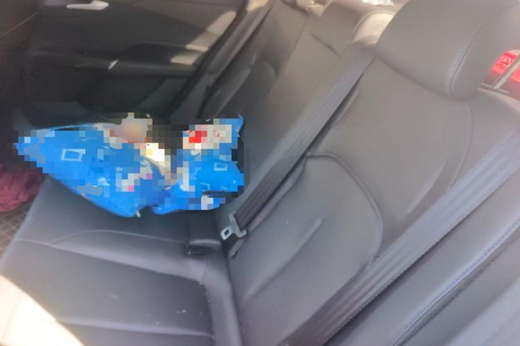 Used CHANGAN Eado DD 2023 Blue Whale NE 1.5T GDI DCT Luxury Edition Left Rear Seat