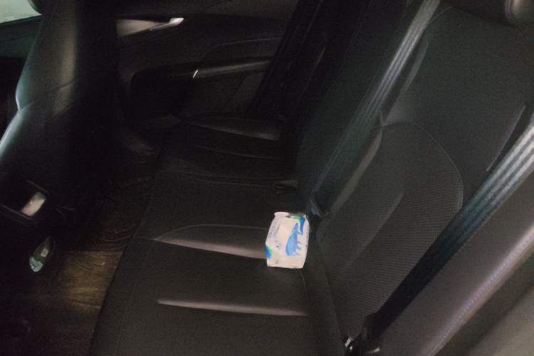 Used CHANGAN Eado DD 2023 Blue Whale NE 1.5T GDI DCT Enjoy Edition Left Rear Seat