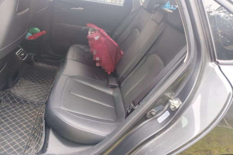 Used CHANGAN Eado DD 2023 Blue Whale NE 1.5T GDI DCT Luxury Edition Left Rear Seat