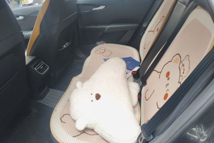 Used CHANGAN Eado DD 2023 Blue Whale NE 1.5T GDI DCT Navigation Model Left Rear Seat